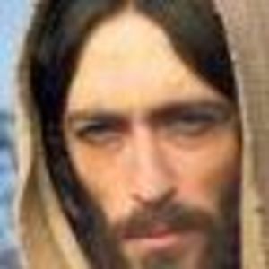 Meet your Posher, Hernan